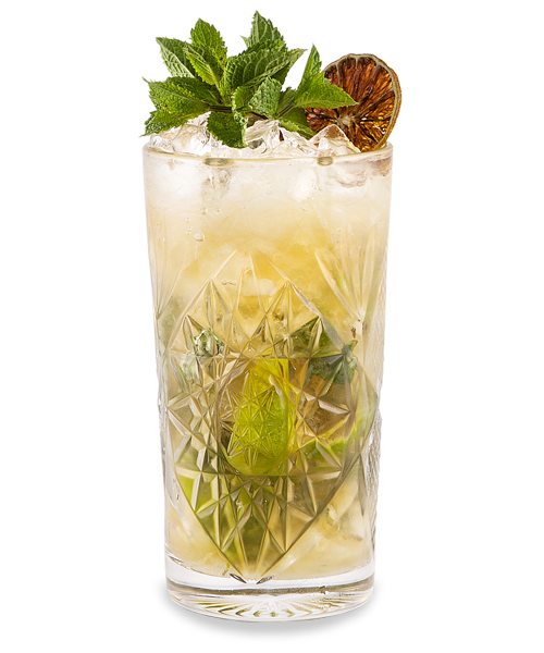 Mojito Kraków Dietla 113